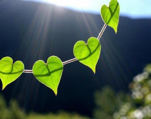 2017-sober-life-in-new-year