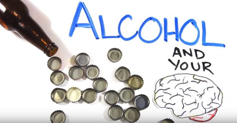 Alcohol And Your Brain What Really Happens Bridges Of Hope