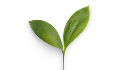 detox